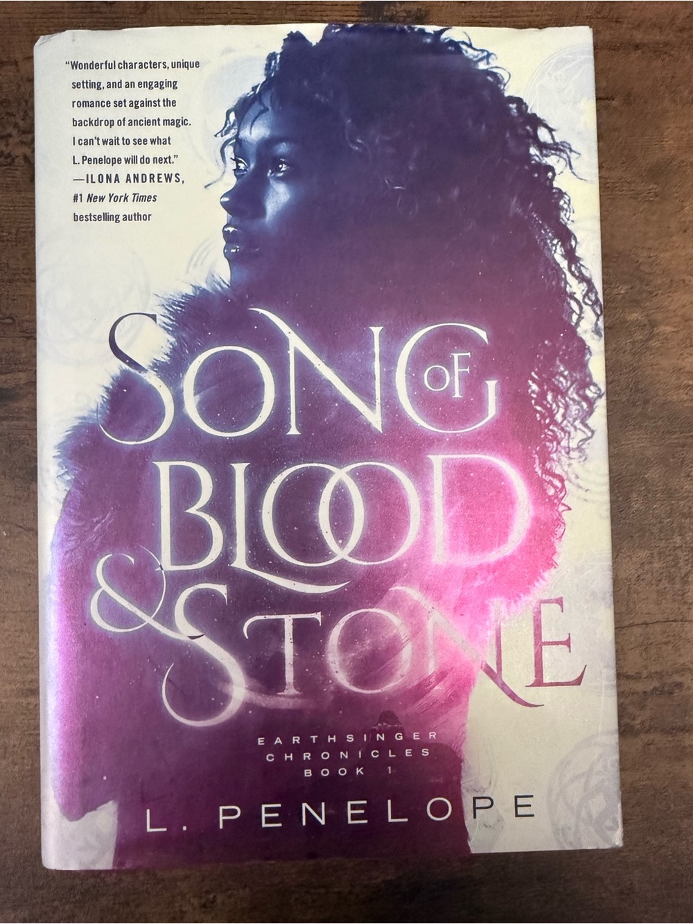💚4/$20 Song of Blood & Stone by L. Penelope - Hardcover Novel